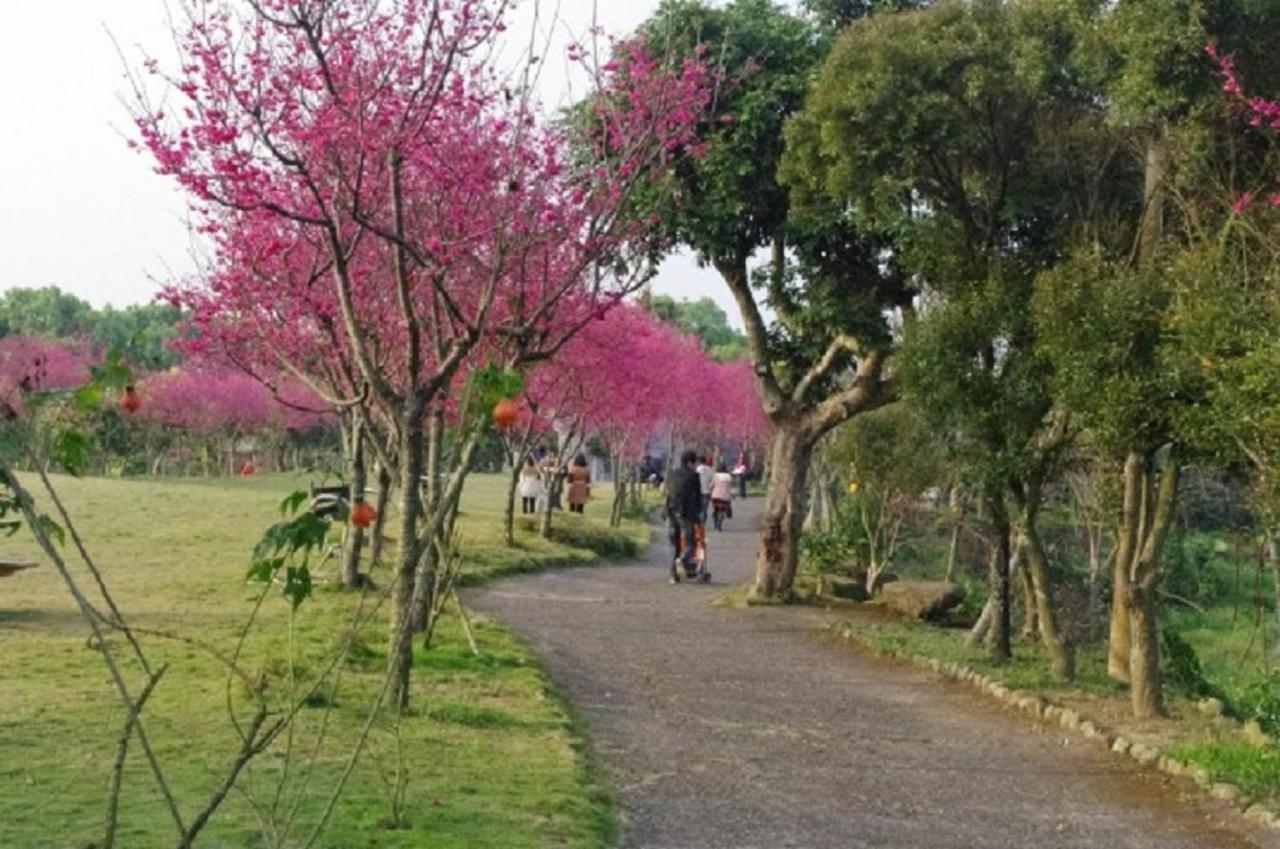 古坑湖光山舍别墅 外观 照片